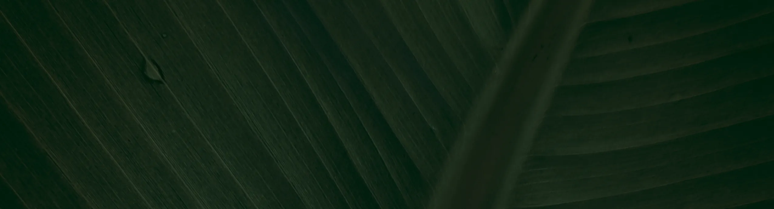 Fortalecedor de Pestañas y Cejas